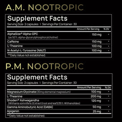 Terra Elmnt AMPM total focus pills on white background highlight cognitive support
