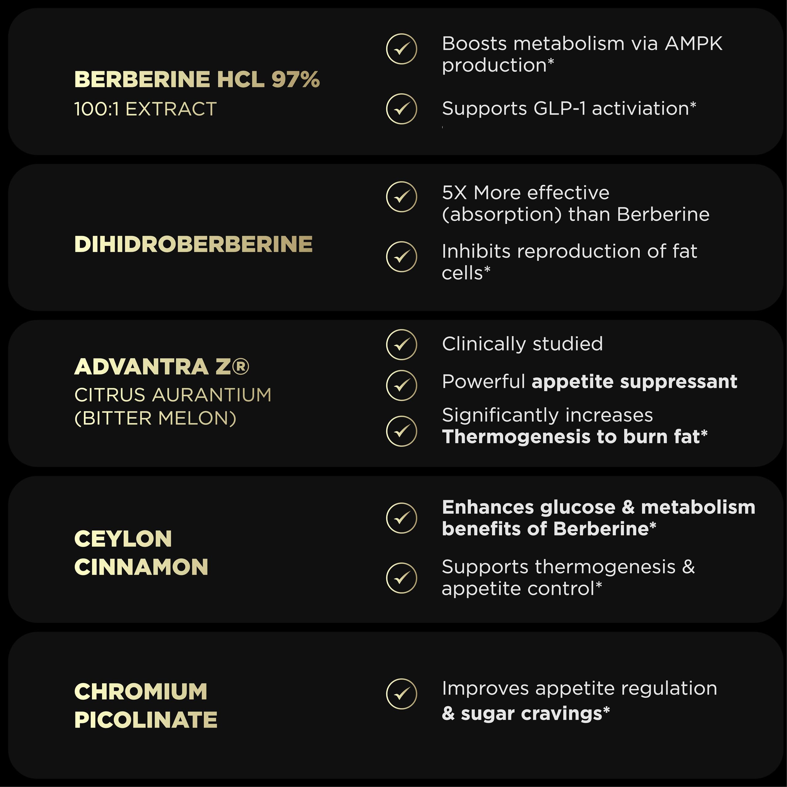 Terra Elmnt Dihydroberberine ingredient graphic emphasizing absorption benefits.
