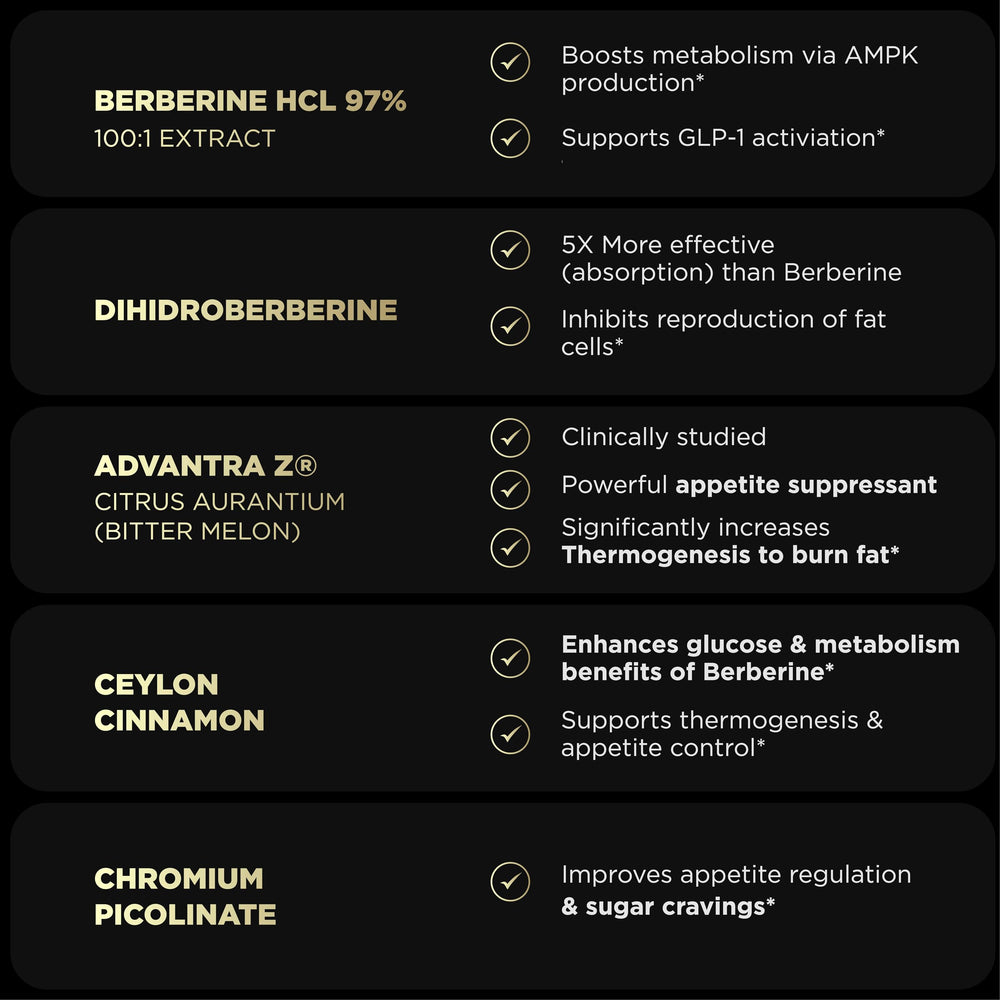 Terra Elmnt Dihydroberberine ingredient graphic emphasizing absorption benefits.