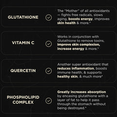 Terra Elmnt phospholipid complex showcases sunflower lecithin liposomal layer.