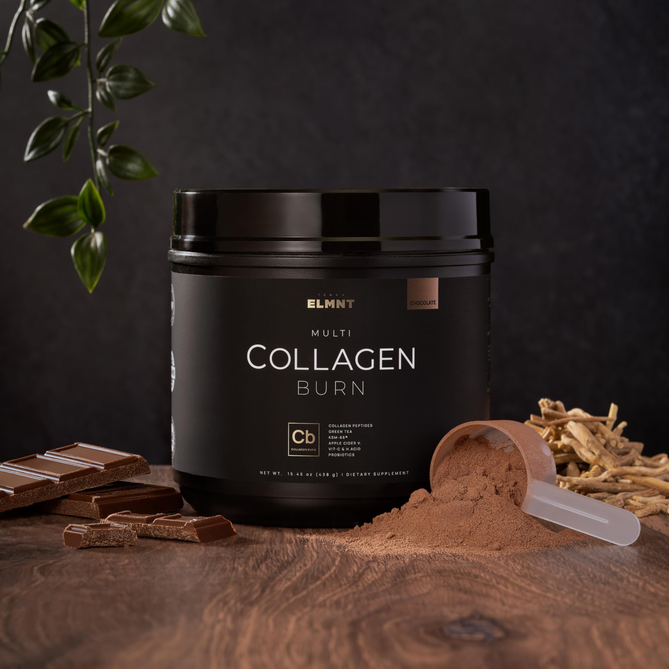 Terra Elmnt probiotics and digestive enzymes aid gut health and digestion.