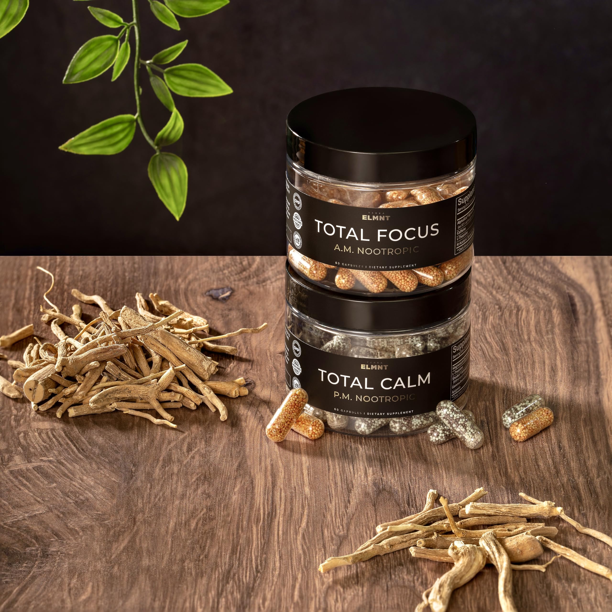 Terra Elmnt Shoden Ashwagandha extract capsule signals balanced mood and stress relief potential
