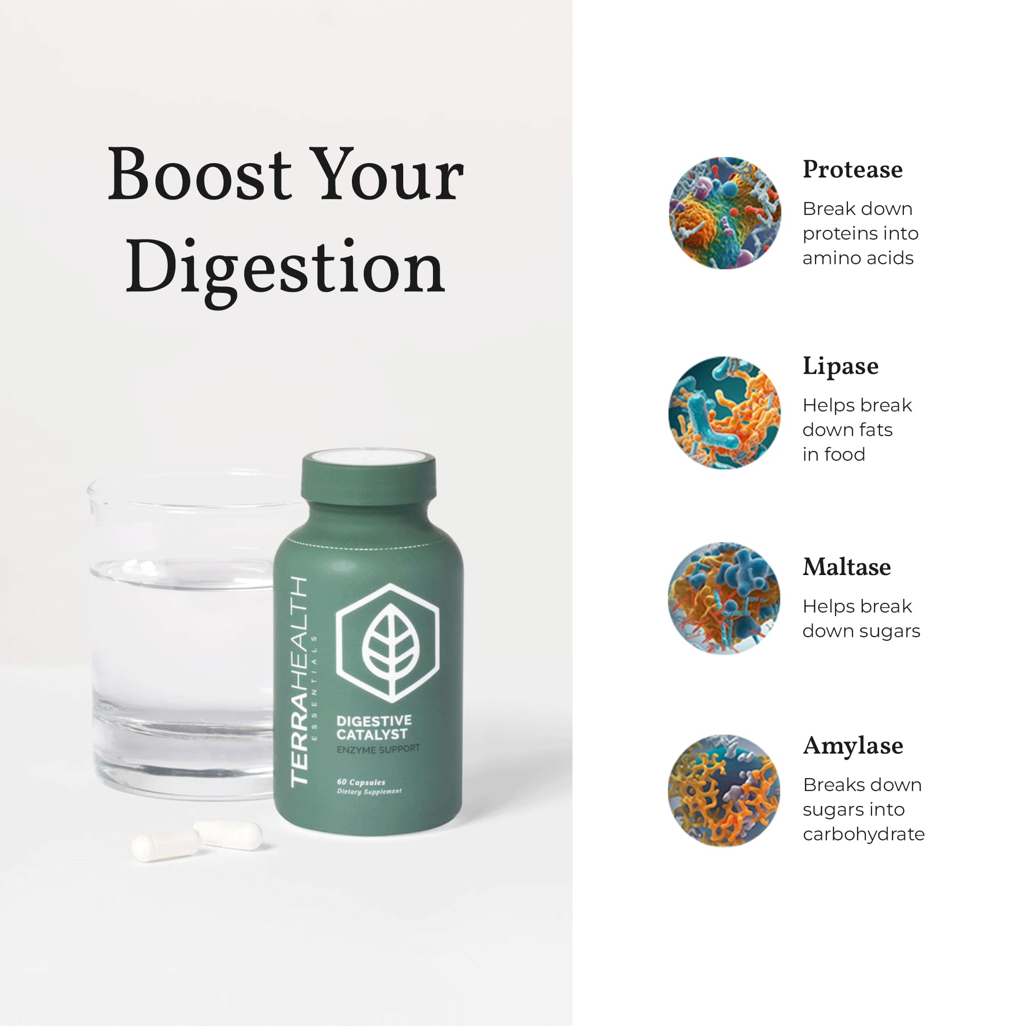 Digestive Catalyst on a kitchen counter, a convenient daily digestion aid.