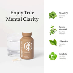 Terra Health NOOFOCUS Alpha-GPC capsules support healthy brain signaling.