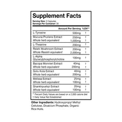 Terra Health NOOFOCUS label details highlight Alpha-GPC and adaptogenic mushrooms.