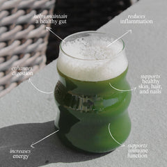 TERRA ORIGIN Healthy Greens packaging back view with clear label details.