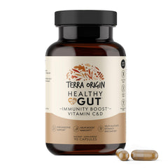 Terra Origin Healthy Gut Capsules bottle for daily digestive support.