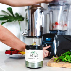 Terra Origin Healthy Gut in a bright kitchen setting, easy daily wellness ritual