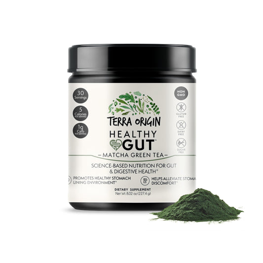 Terra Origin Healthy Gut Matcha packaging showing 30 servings for digestive comfort.