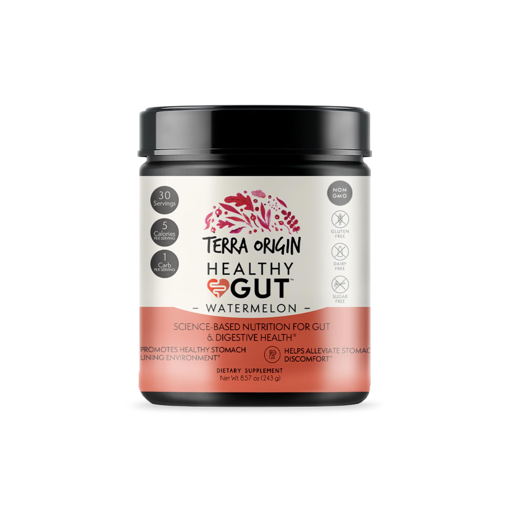 Terra Origin Healthy Gut Watermelon daily-use setup in a bright kitchen.