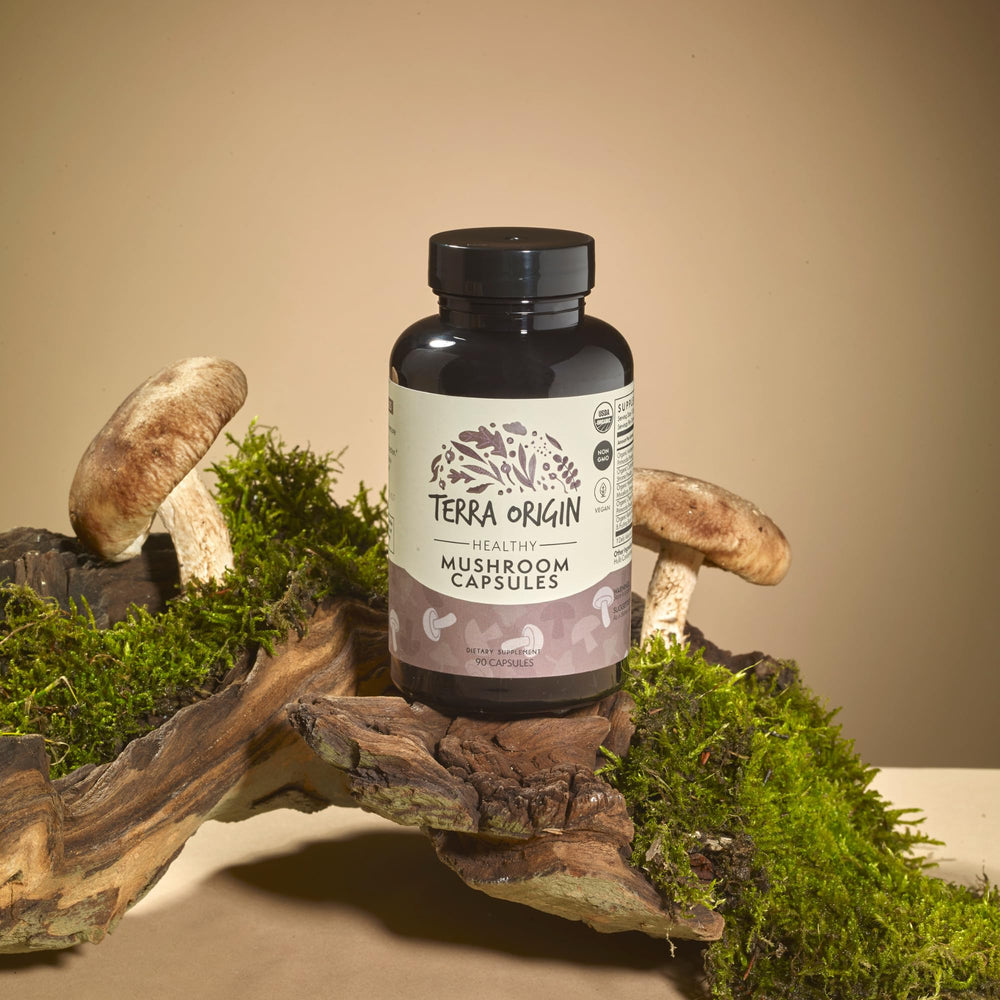 Terra Origin Lion’s Mane capsules for mental clarity and focus.