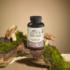 Terra Origin Lion’s Mane capsules for mental clarity and focus.