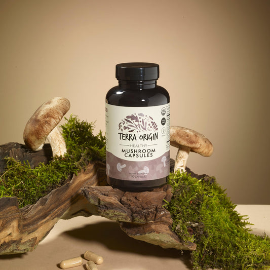 Terra Origin Reishi-Cordyceps-Chaga capsules for immune resilience and daily energy.