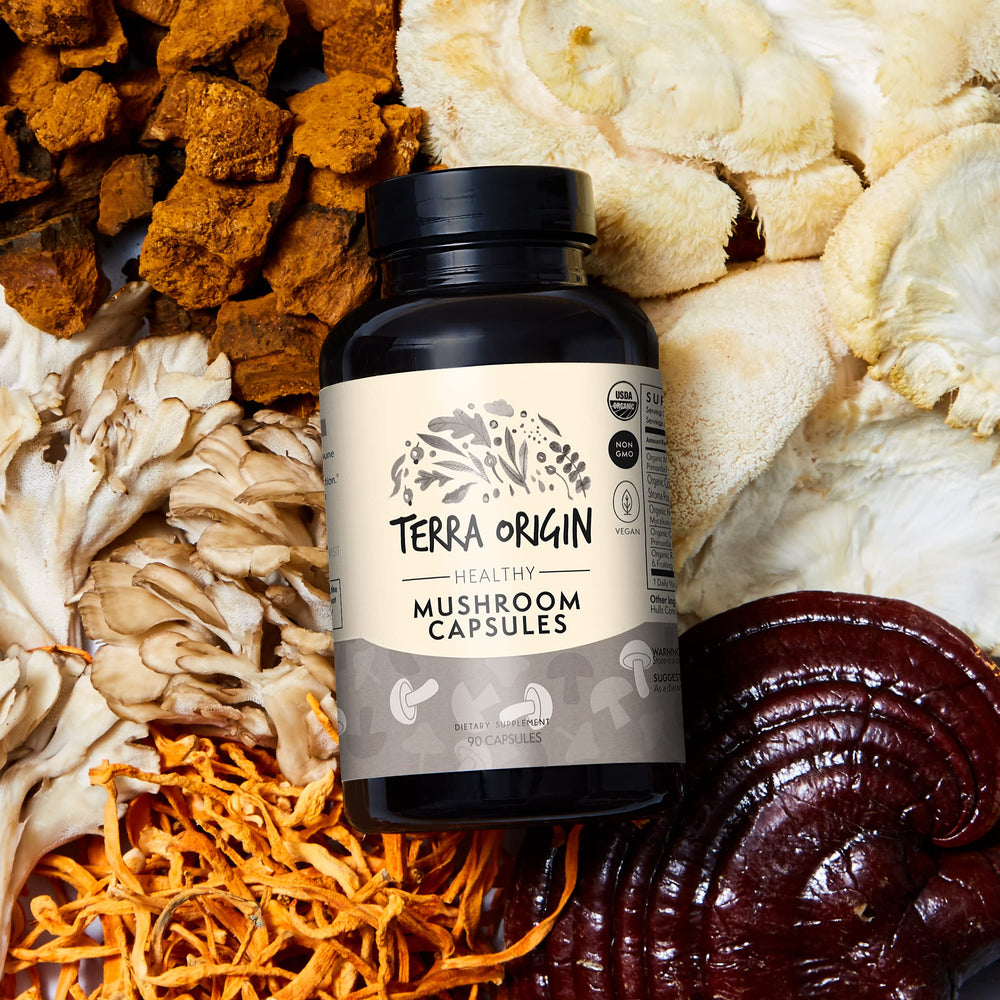 Terra Origin Shiitake and Maitake mushrooms supporting cognitive function and energy.