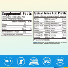 Terranics collagen powder jar shows unflavored mixability