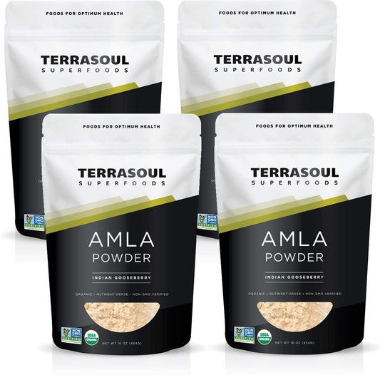 Terrasoul Amla Powder 4lb package ready for bulk smoothies and recipes.