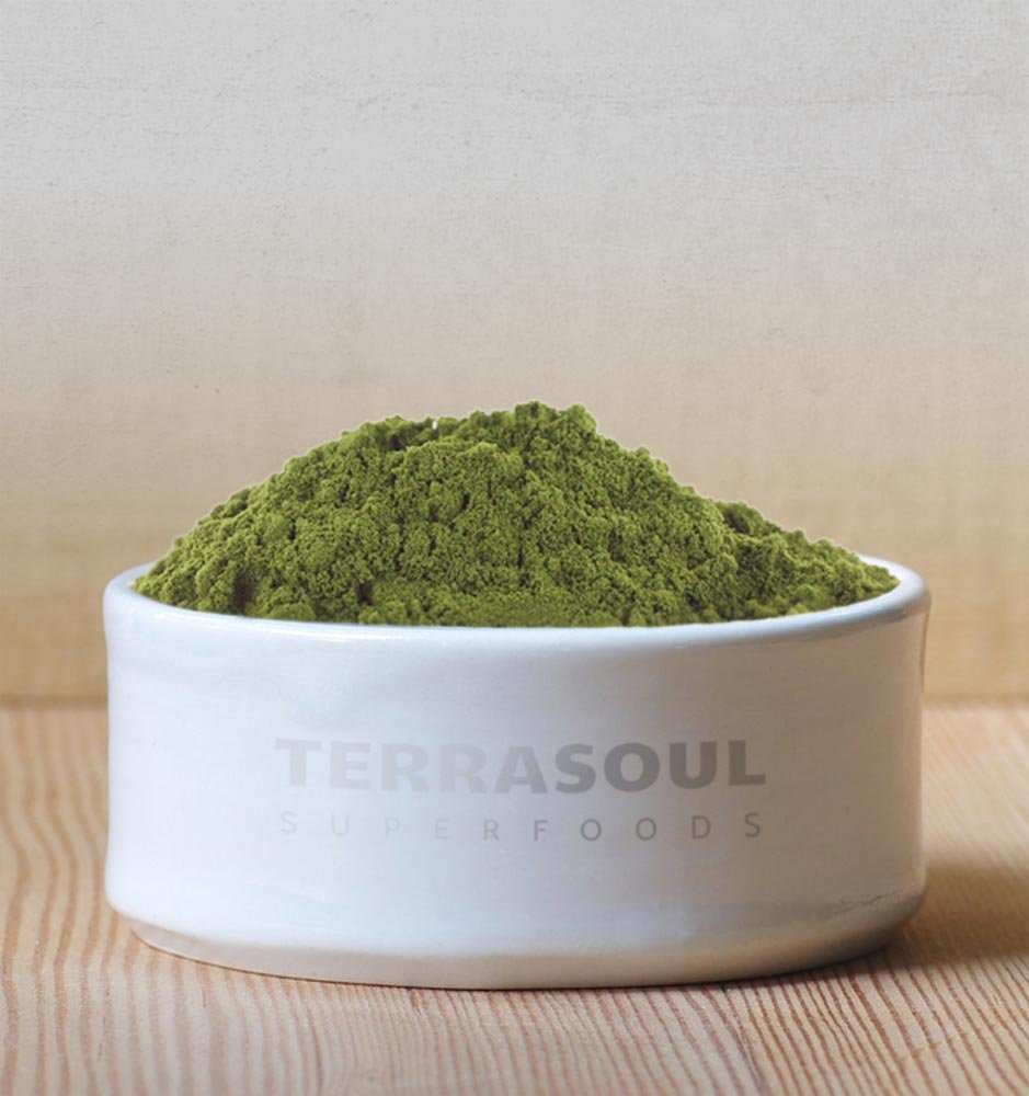 Terrasoul hemp protein powder scoop demonstrates easy portioning for meals
