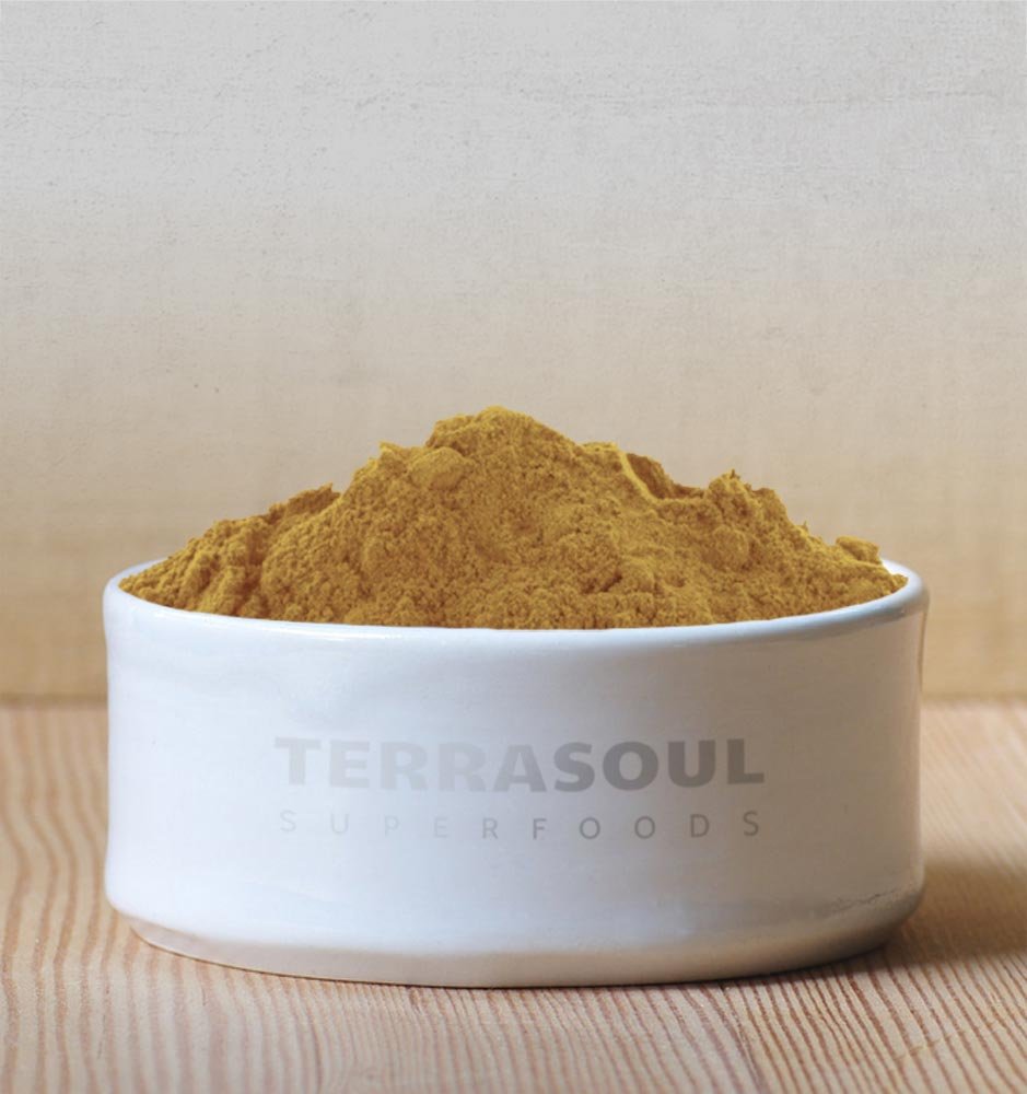 Terrasoul Lions Mane powder close-up texture ideal for recipes.