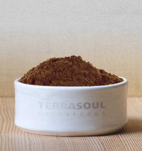 Close-up of Terrasoul Reishi powder texture showing rich color and potency