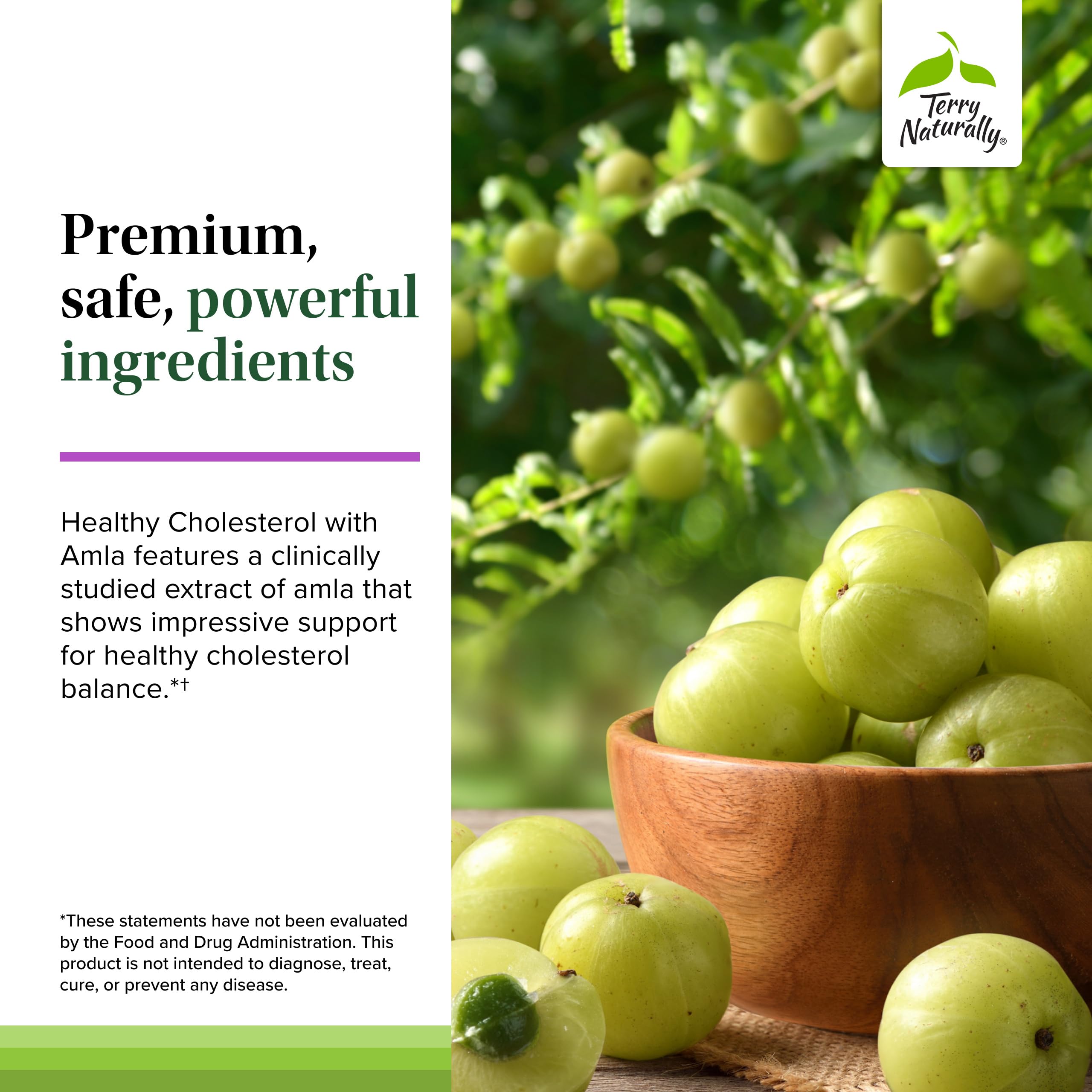 Terry Naturally allergen-friendly label indicating no sugar or gluten.