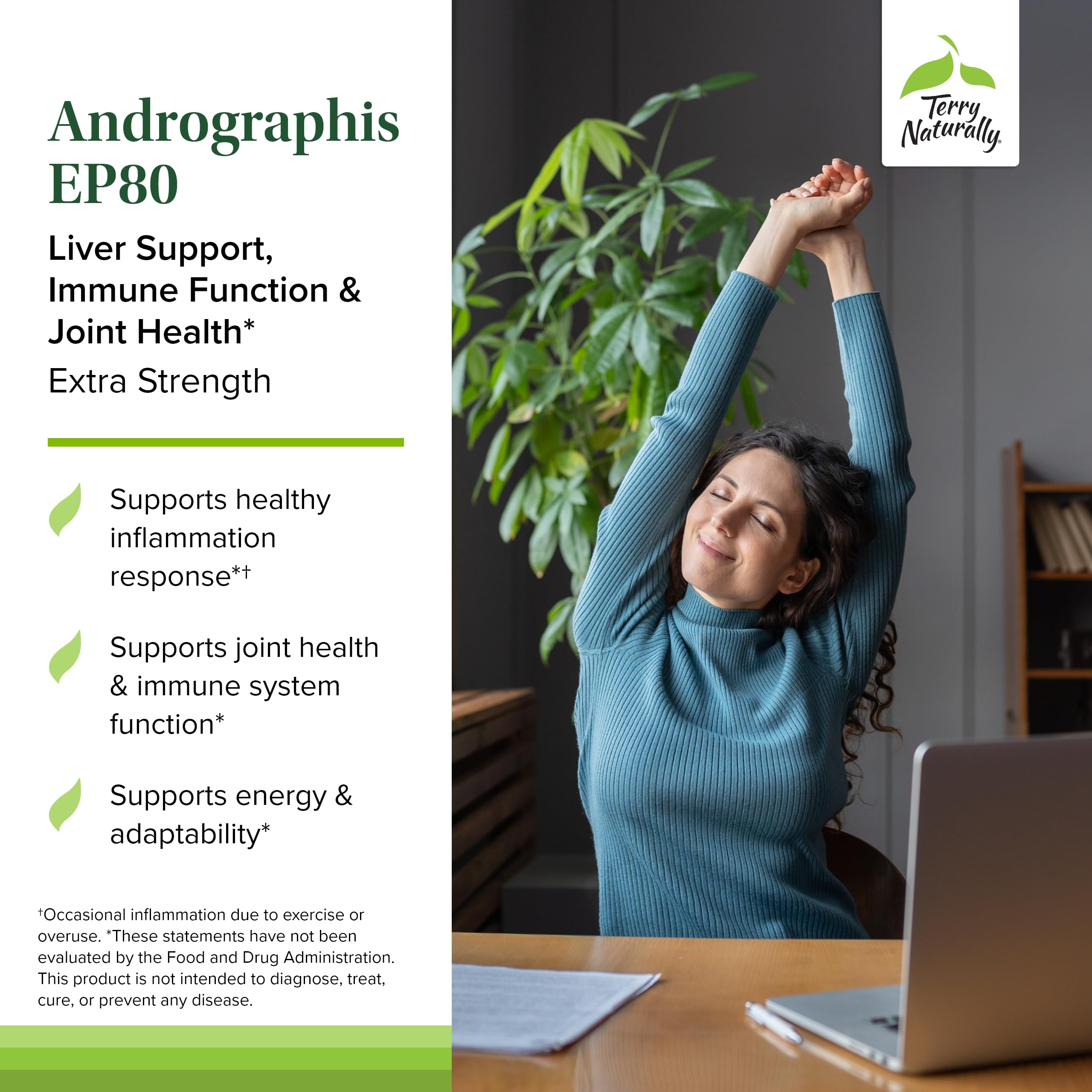 Terry Naturally Andrographis EP80 capsules close-up highlighting vegan capsules aiding joint mobility.