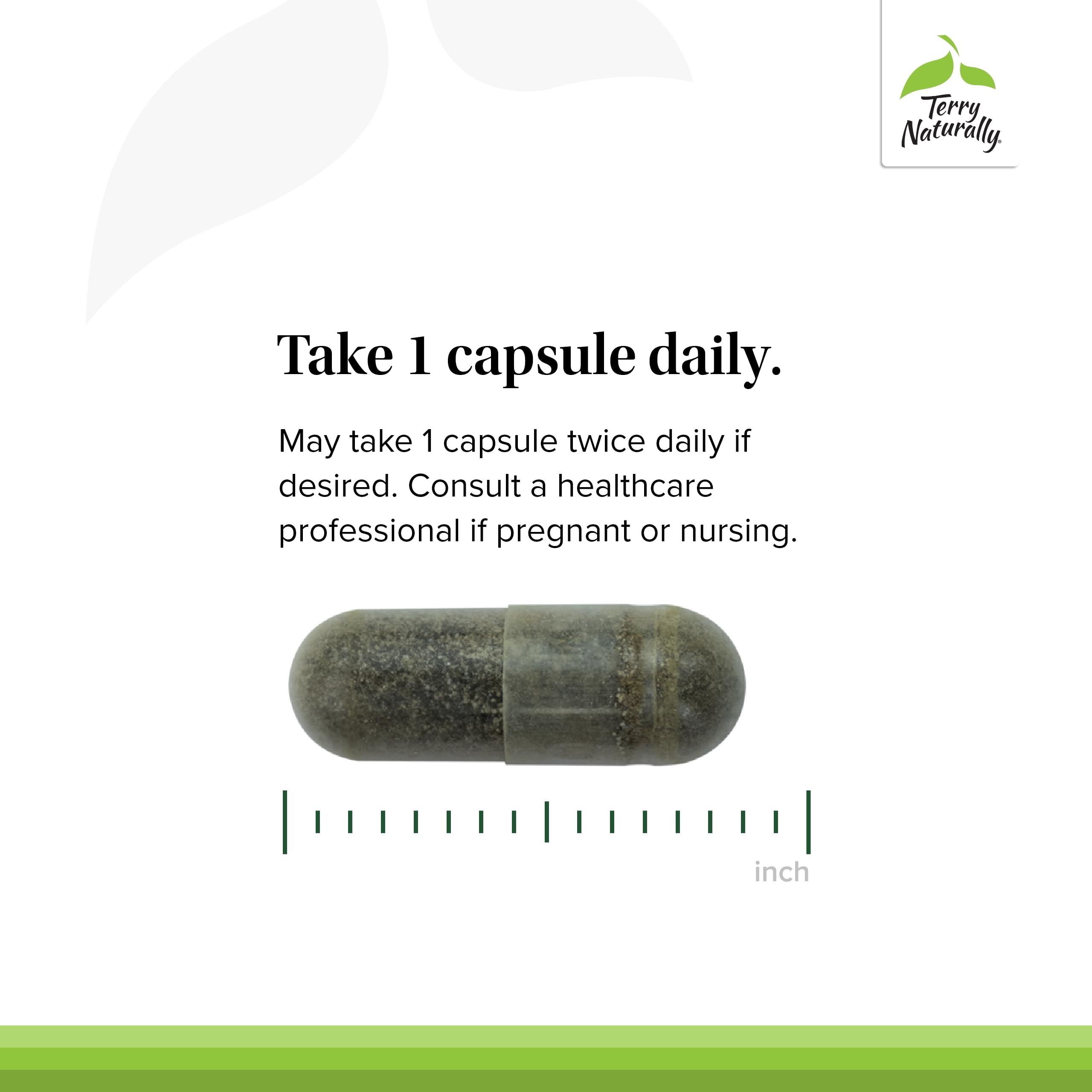 Terry Naturally Andrographis EP80 pack of 2 boxes ready for daily wellness routines.