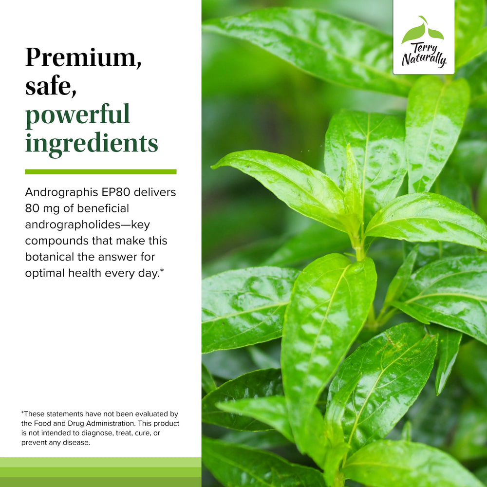 Terry Naturally Andrographis EP80 packaging box with non-GMO and gluten-free notes