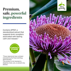 Terry Naturally AnxioCalm capsules close-up shows tablet texture and design