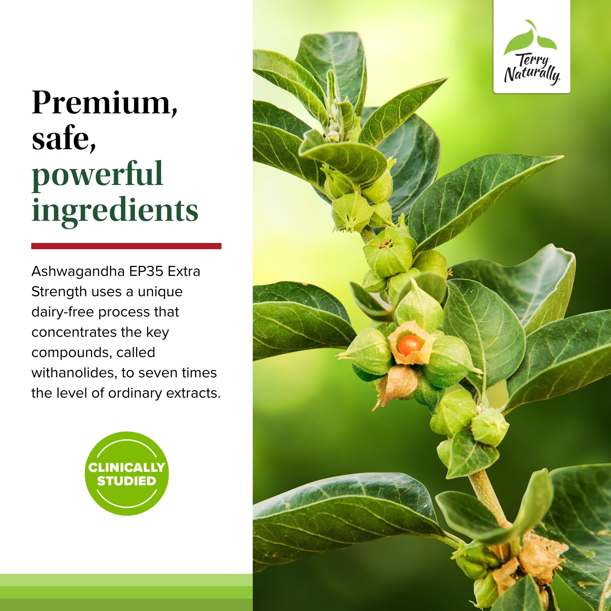 Terry Naturally Ashwagandha EP35 daily routine shot suggests easy use.