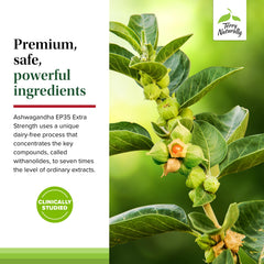 Terry Naturally Ashwagandha EP35 daily routine shot suggests easy use.
