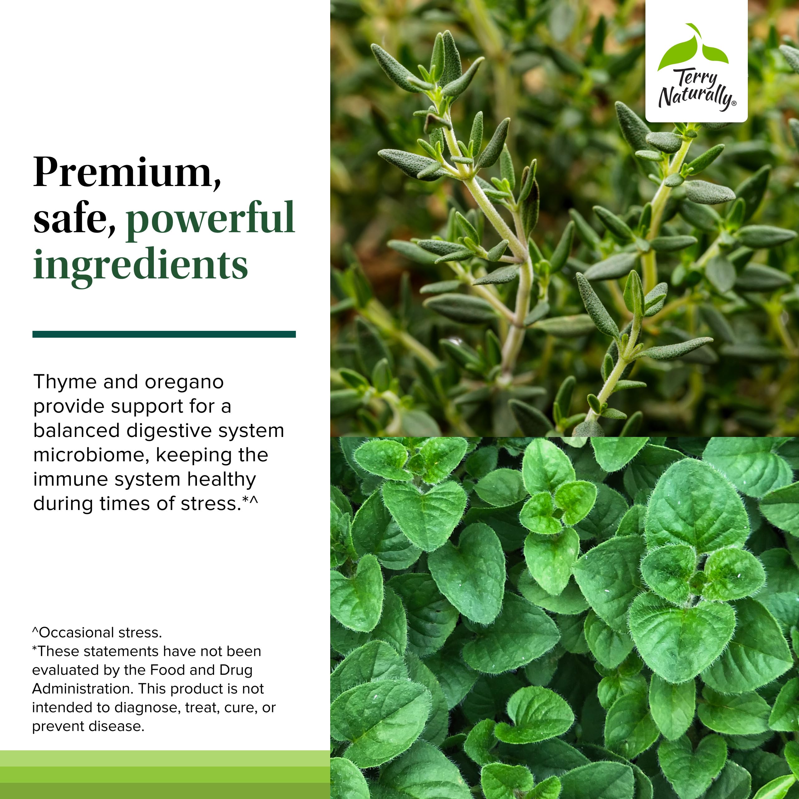 Terry Naturally Bacteril Extra Strength ingredients with thyme and oregano for gut balance.