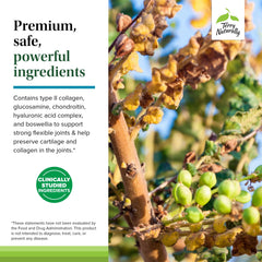 Be Mobile ingredients list includes glucosamine, chondroitin, hyaluronic acid