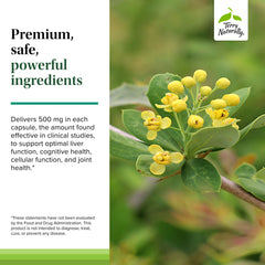 Terry Naturally Berberine bottle showing seal for authenticity and safety.