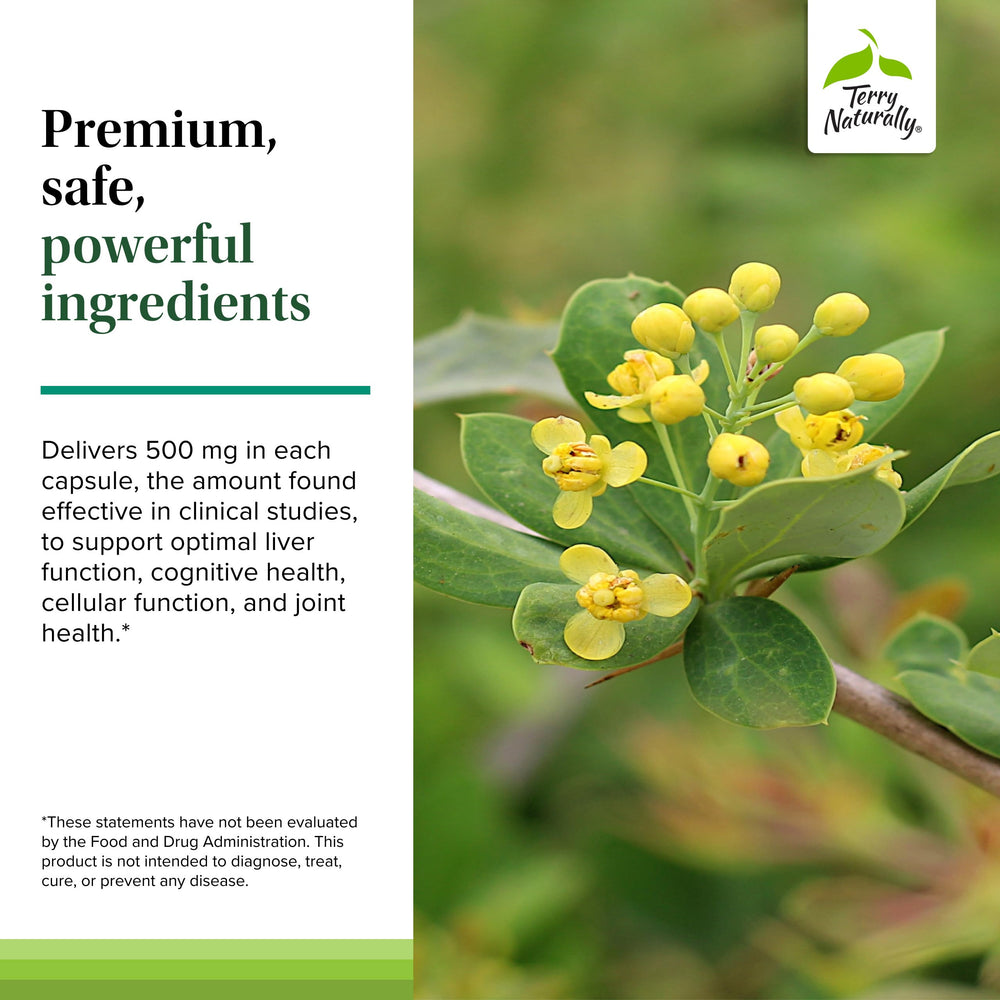 Terry Naturally Berberine packaging emphasizes value and freshness.