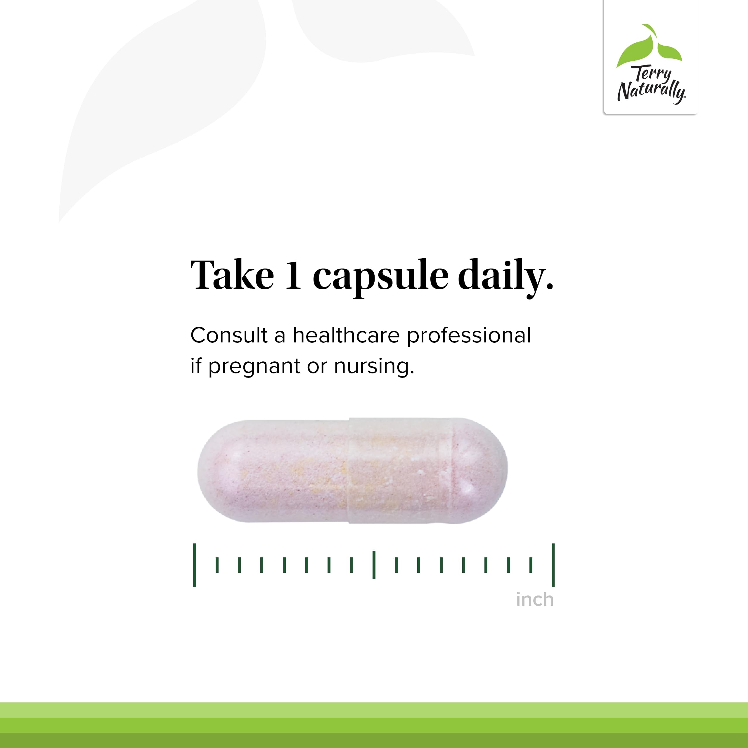 Two-pack packaging shows value and convenience for daily B-complex vitamins.