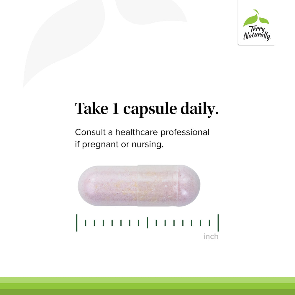 Two-pack packaging shows value and convenience for daily B-complex vitamins.