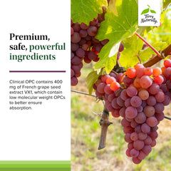 Terry Naturally Clinical OPC Extra Strength softgels in hand, ready for a routine.
