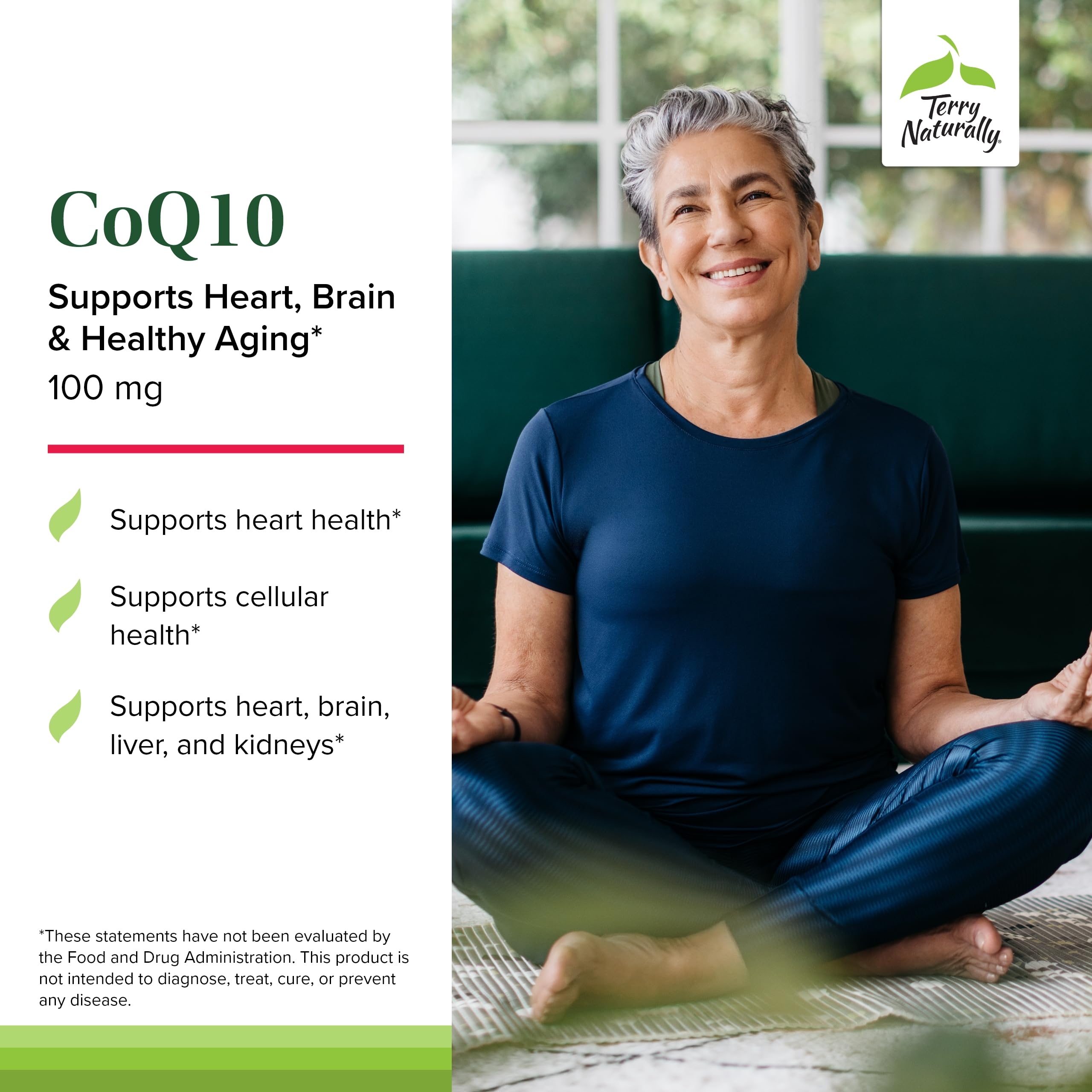 Terry Naturally CoQ10 Chewables ingredients label emphasizes no artificial additives.
