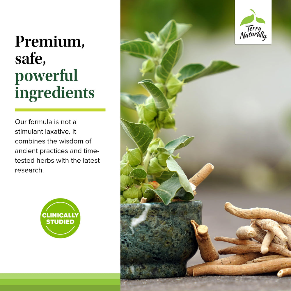 Terry Naturally Digestive Formula ingredients panel outlines Ayurvedic herbs.