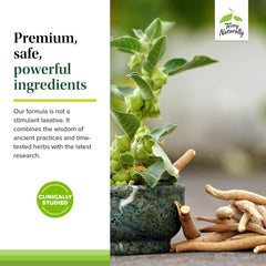 Terry Naturally Digestive Formula ingredients panel outlines Ayurvedic herbs.