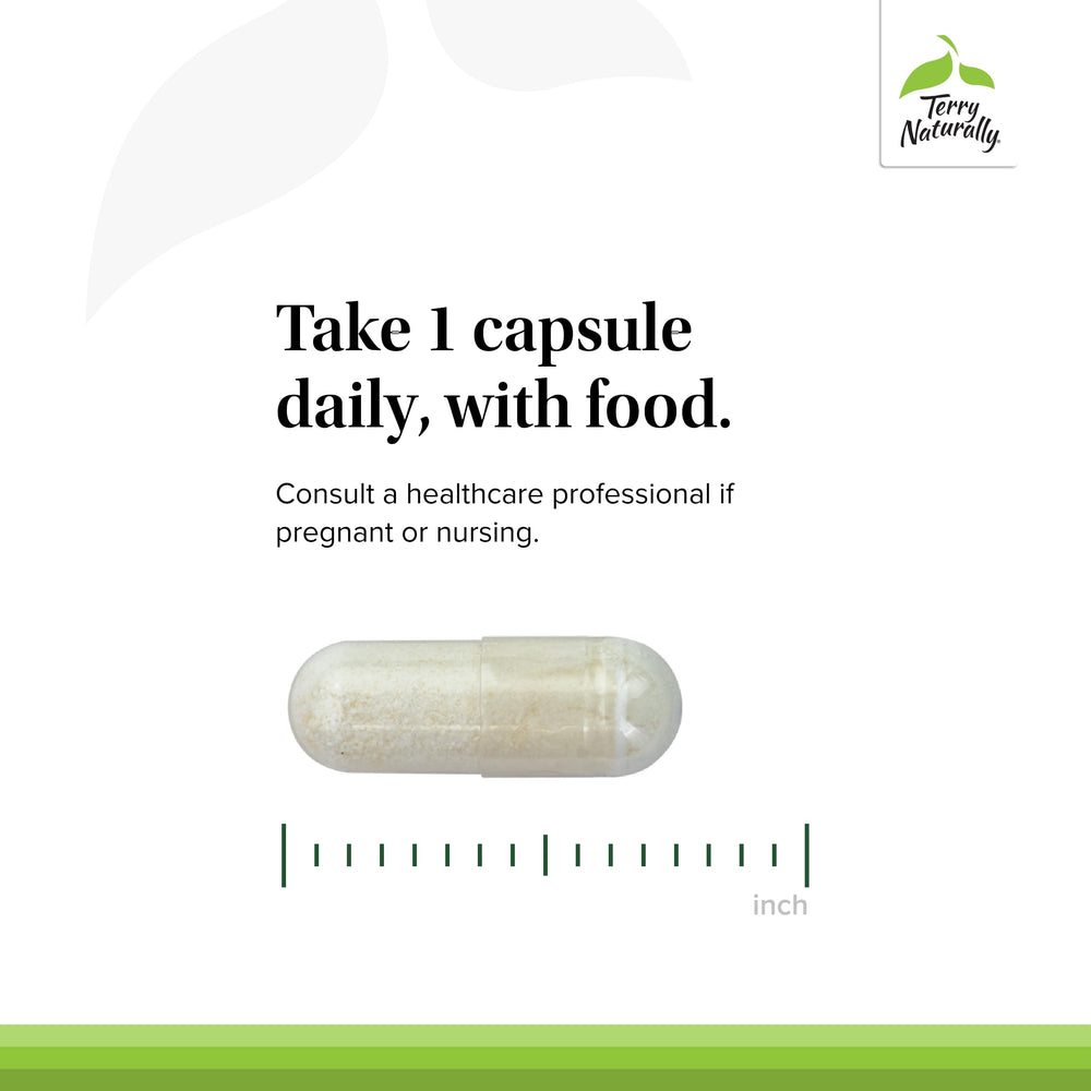 Terry Naturally FloraSure Probiotic packaging shows allergen-free formulation for sensitive diets