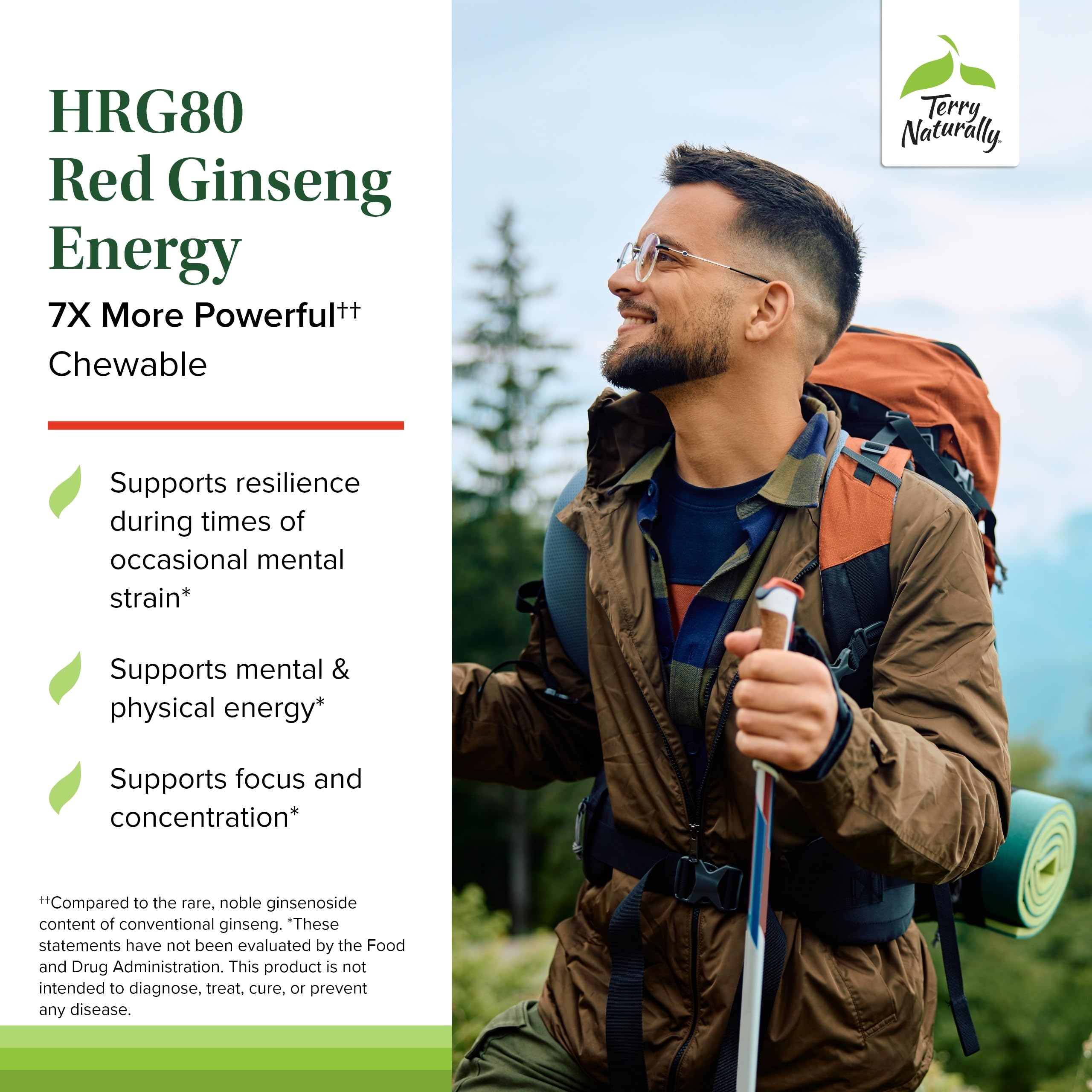 Red ginseng root slice highlights natural compounds for vitality and balance.