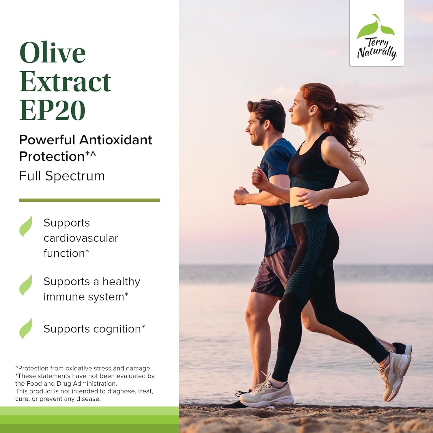 Olive Extract EP20 capsules ready for daily brain and immune support.
