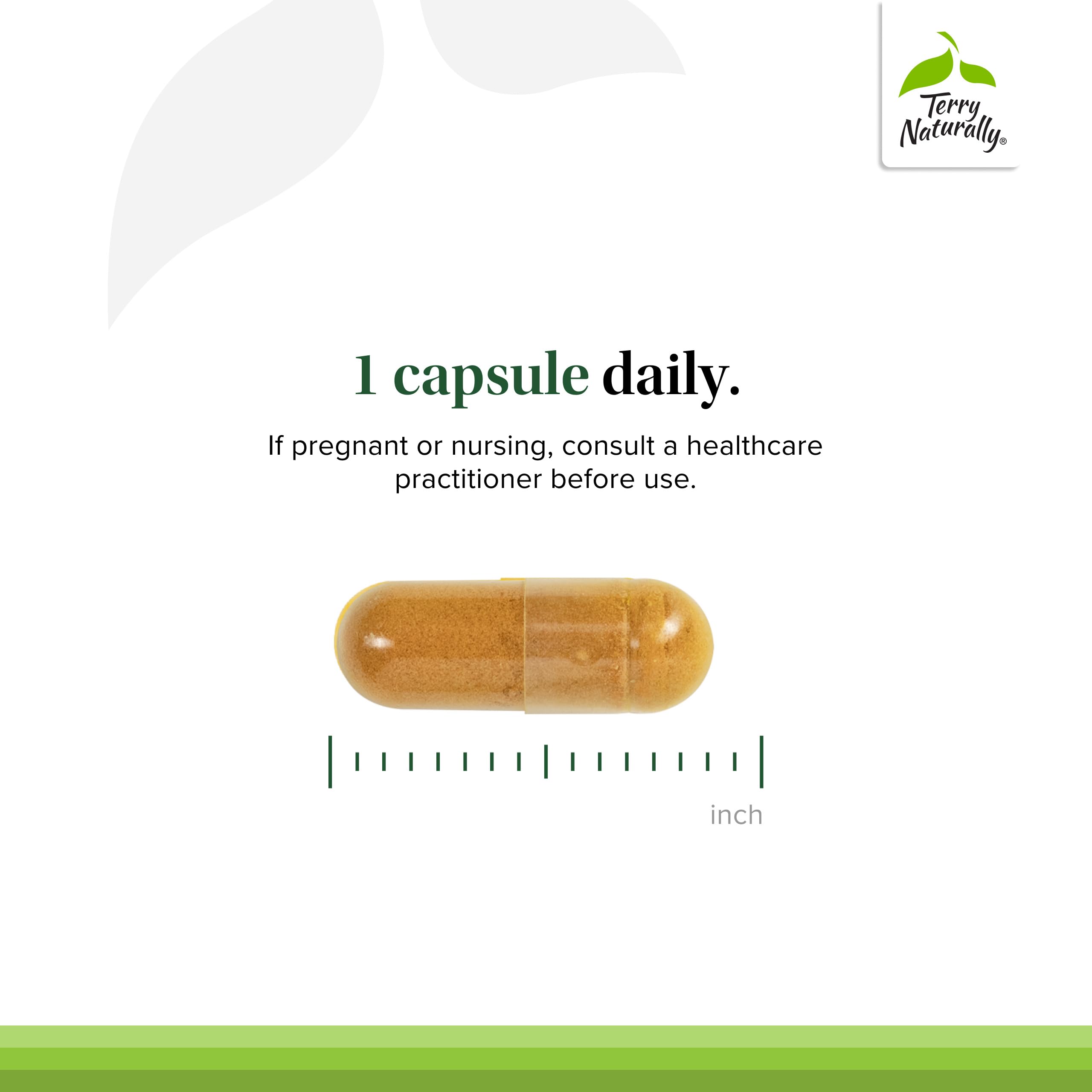 Terry Naturally Optimal Wellness curcumin capsule supporting liver and brain health