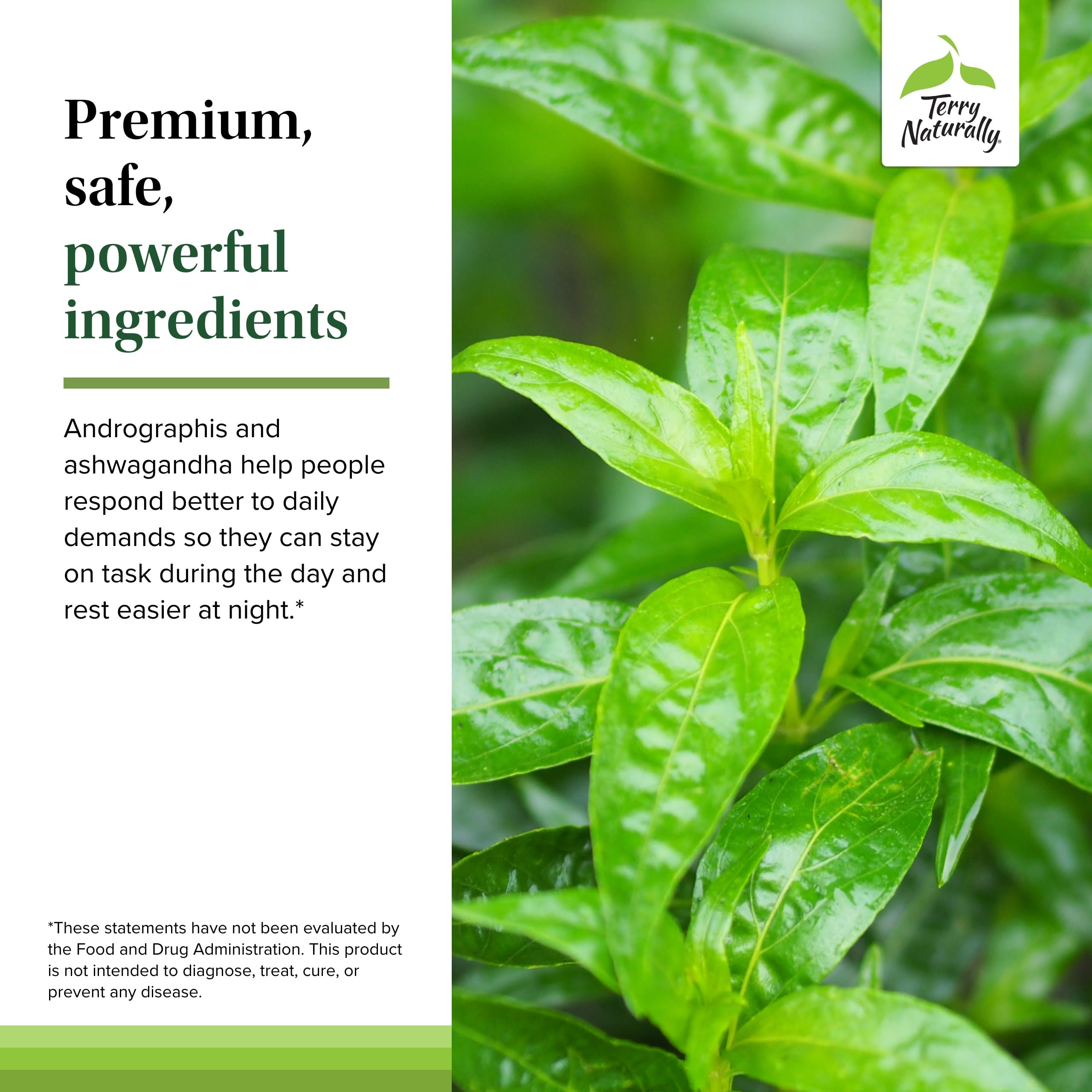Terry Naturally packaged-supplement-box communicates high quality and clean ingredients.