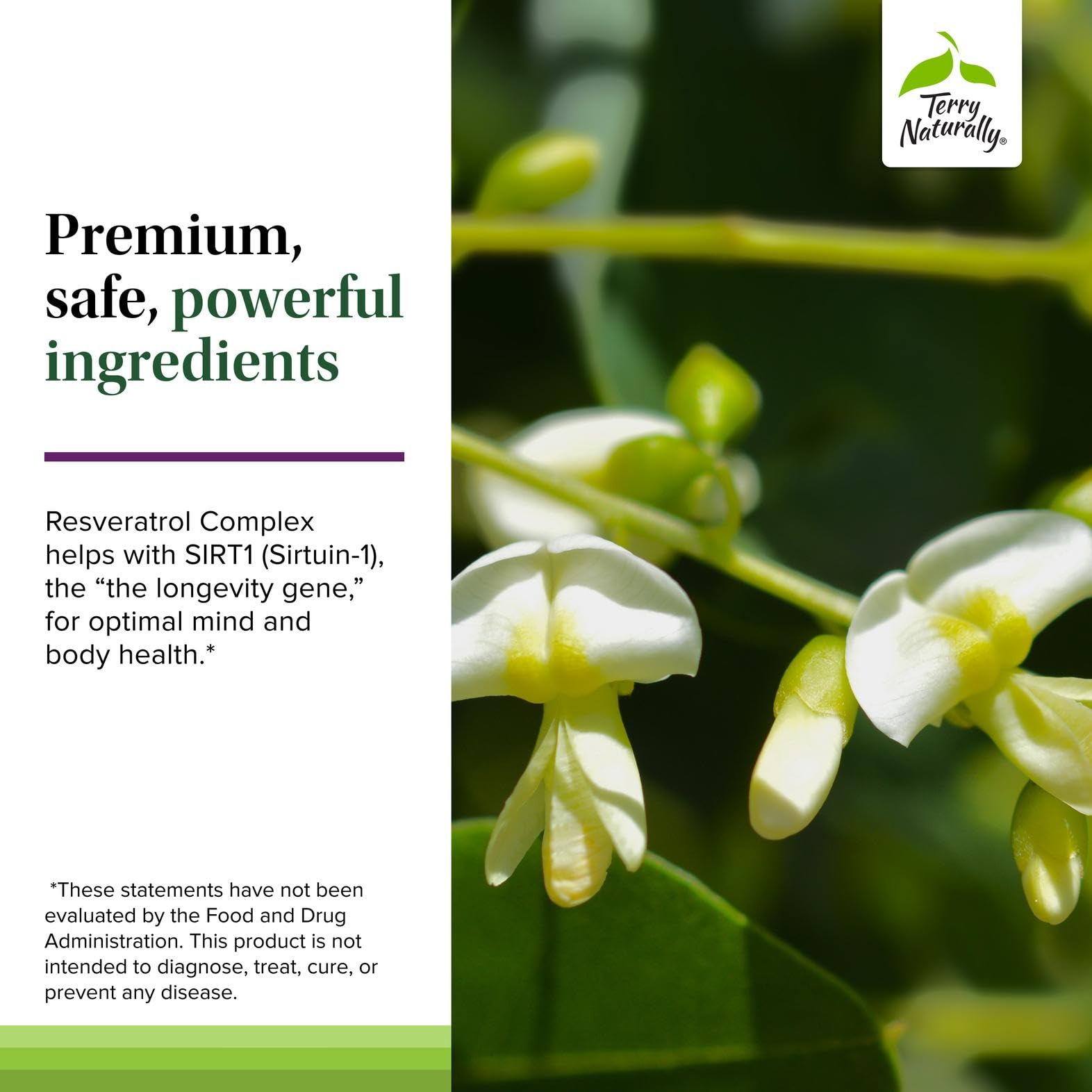 Vegan and gluten-free supplement ideal for everyday routines.
