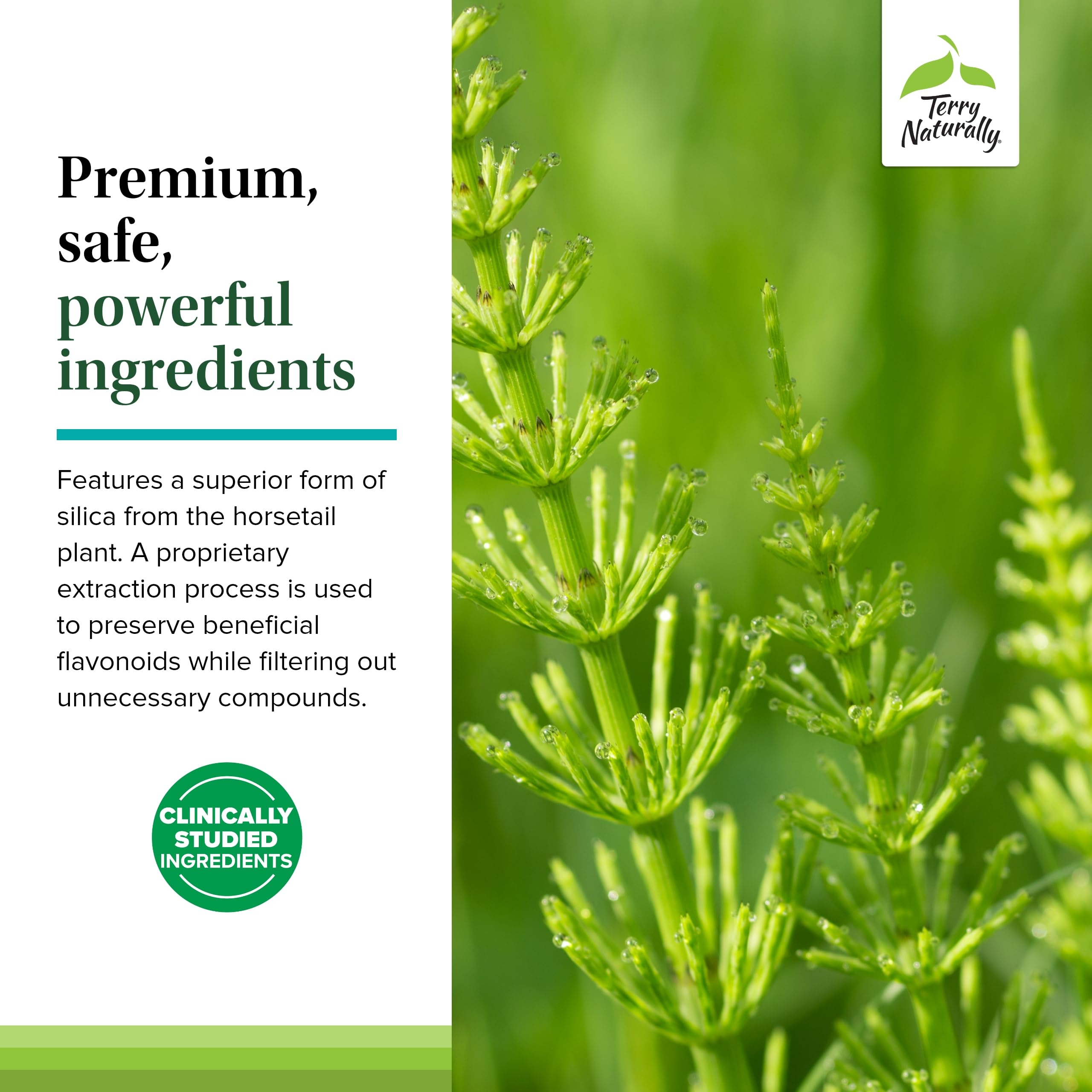 Terry Naturally Silica-20 label notes absence of artificial additives.