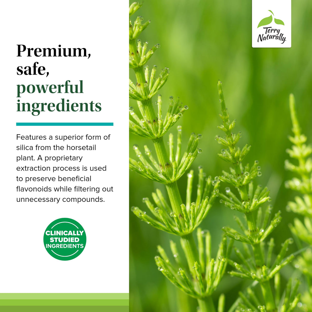 Terry Naturally Silica-20 label notes absence of artificial additives.