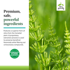 Terry Naturally Silica-20 label notes absence of artificial additives.