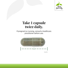 Terry Naturally sinus health concept with capsules suggesting potential mucus support.